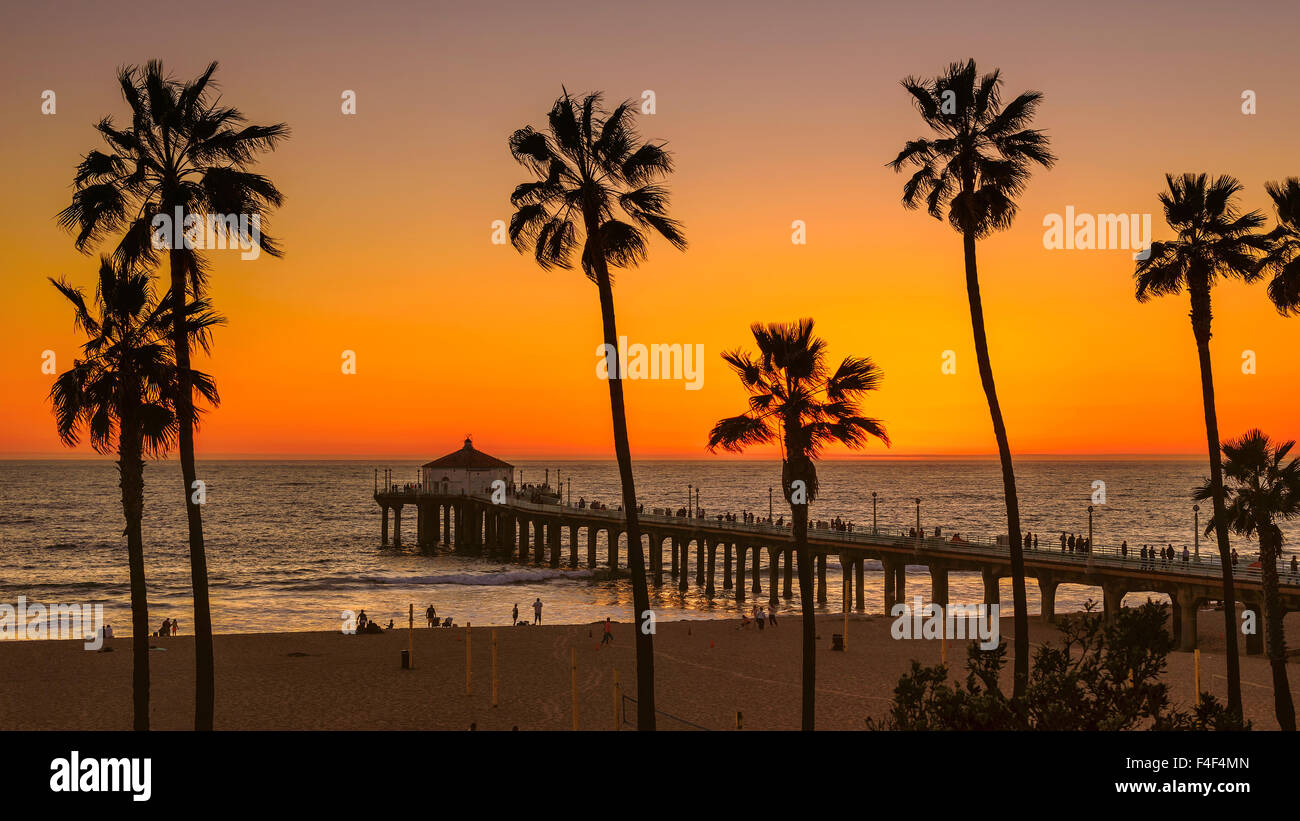 Palm trees silhouettes on a beach against an orange sunset and a Manhattan pier, Los Angeles, California Stock Photo
