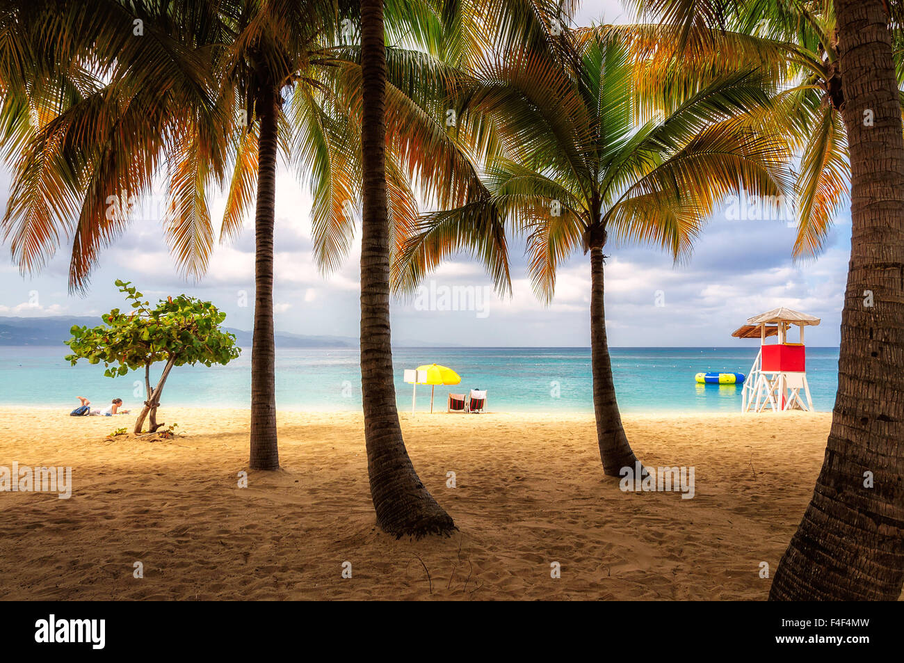 Beach in Jamaica with tall palm tree on Caribbean sea Stock Photo