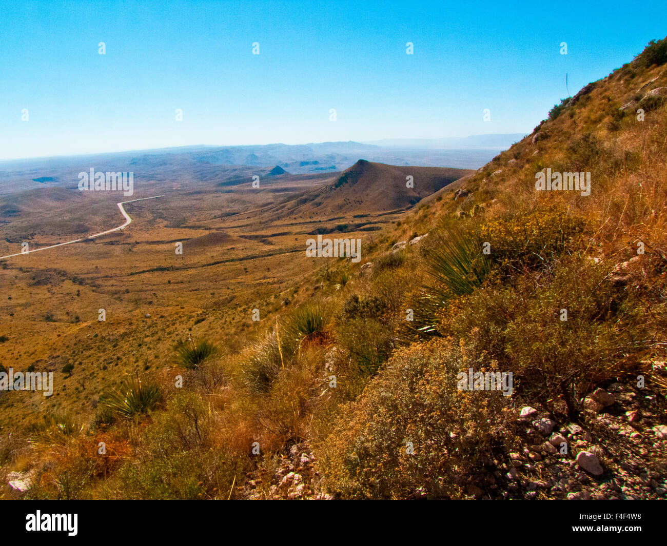 USA Texas Guadalupe Mountain - Usa Texas Guadalupe Mountain National Park Guadalupe Peak Scenic Trail F4F4W8 