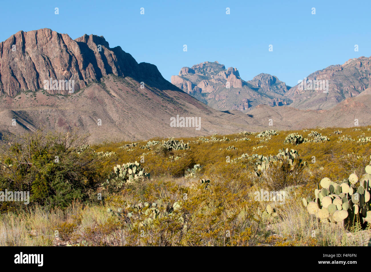 USA, Texas, Big Bend National Park, Nugent Mountain from Dugout Wells