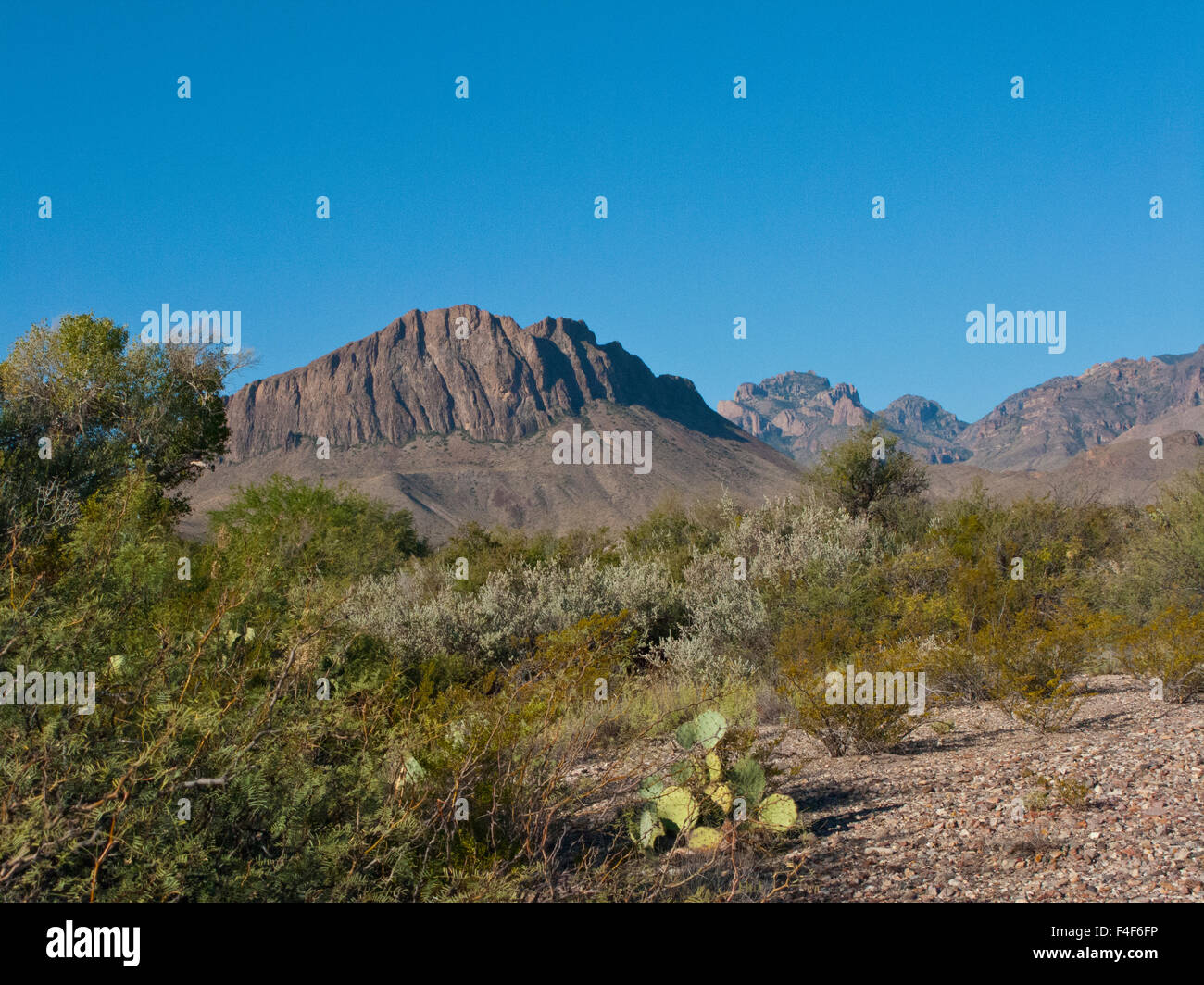 USA, Texas, Big Bend National Park, Nugent Mountain from Dugout Wells