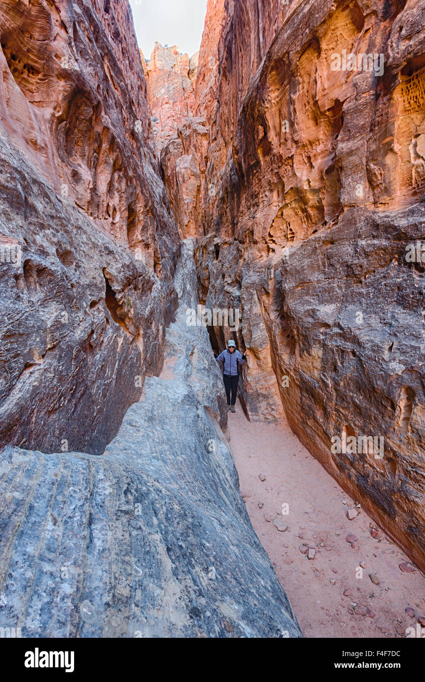 Capitol reef national park slot cheap canyons