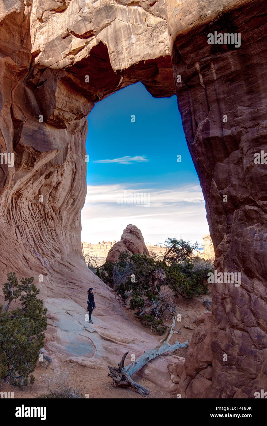 Pine Tree Arch, Devils Garden, Arches National Park, Moab, Utah (MR ...