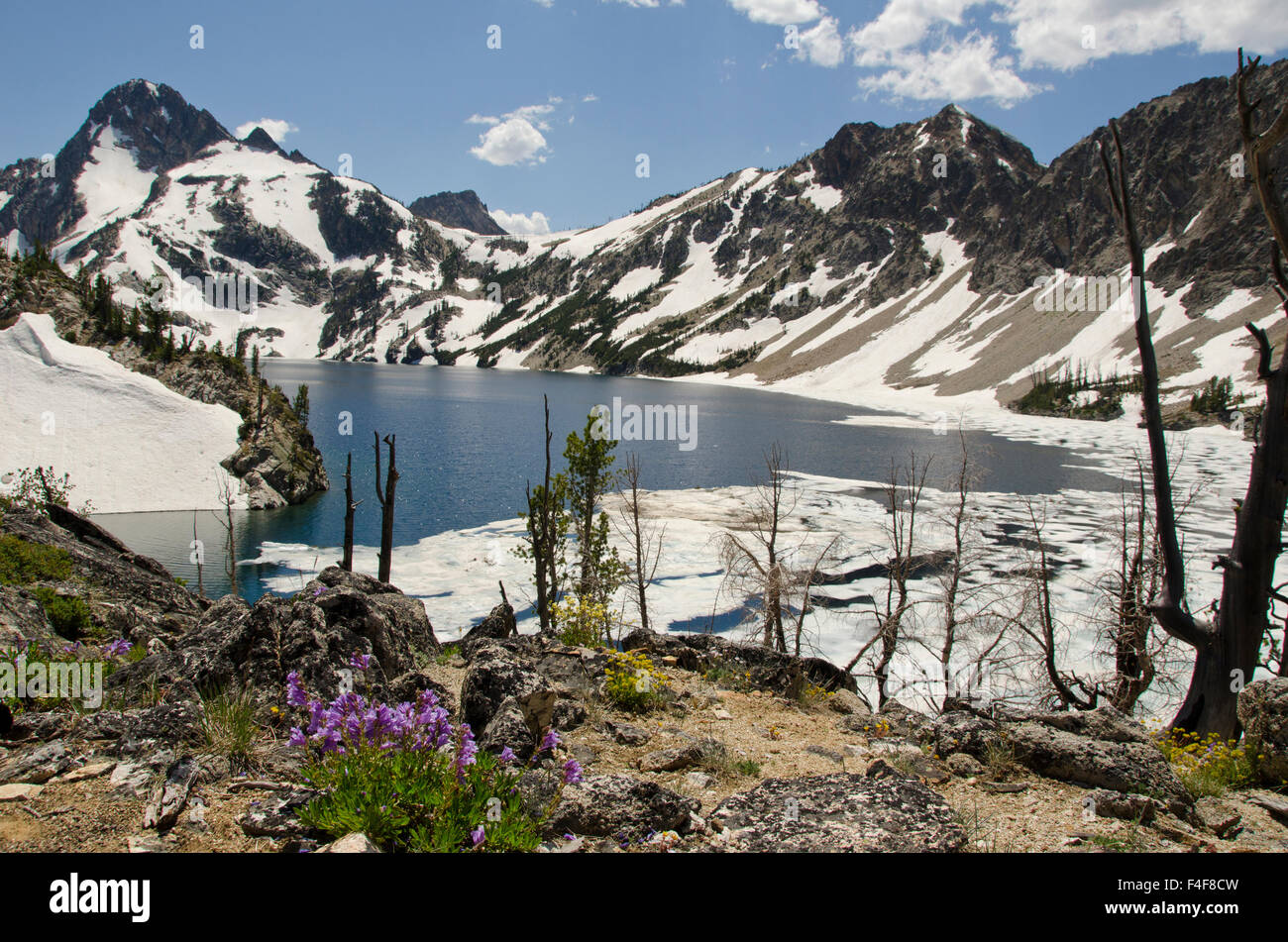 https://c8.alamy.com/comp/F4F8CW/alpine-lake-and-alpine-peak-sawtooth-national-forest-wilderness-area-F4F8CW.jpg