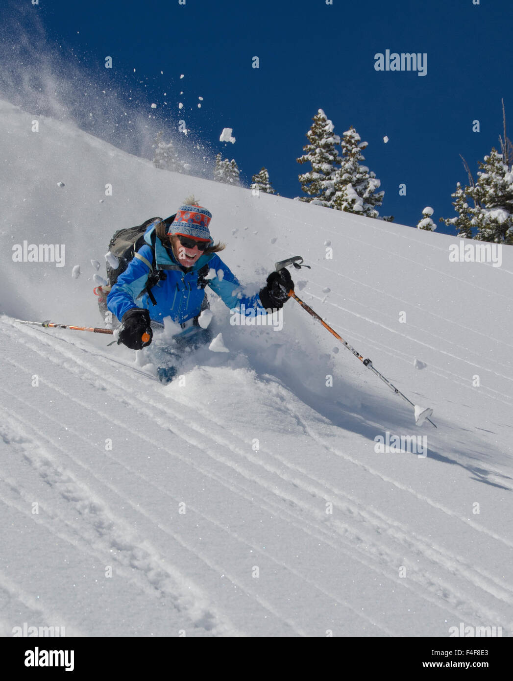 Skier enjoying deep powder, Wasatch Backcountry, Big Cottonwood Canyon, Uinta Wasatch Cache National Forest, near Salt Lake City and Alta, Utah (MR) Stock Photo