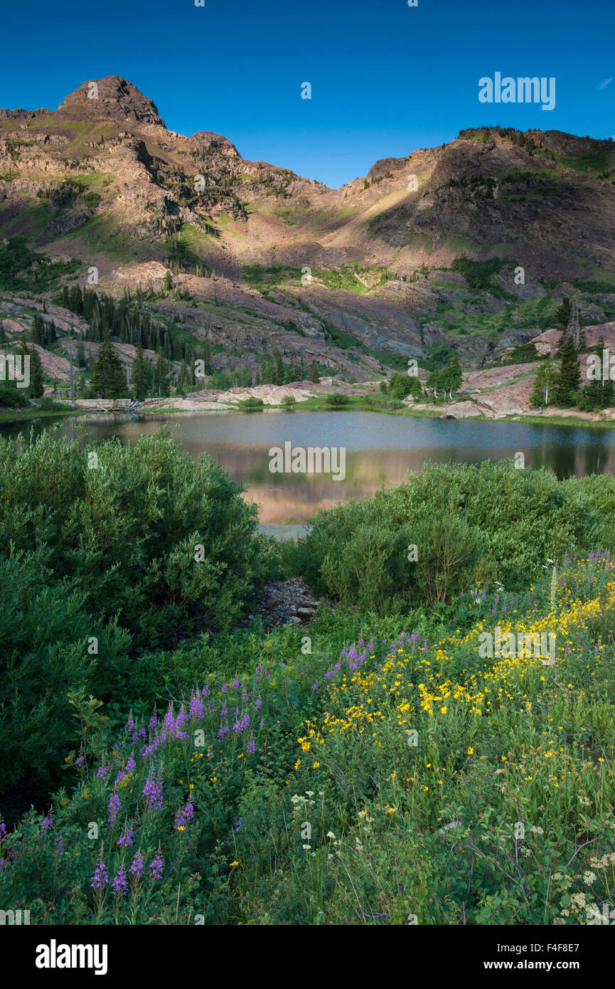 Lake Lilian and Twin Peaks Wilderness, Lake Blanche Trail, Uinta-Wasatch Cache National Forest, Big Cottonwood Canyon, Wasatch Mountains, near Salt Lake City, Utah. Stock Photo