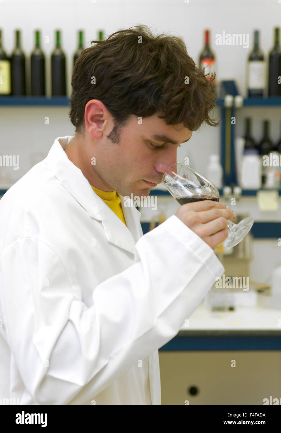 Professional food taster hires stock photography and images Alamy
