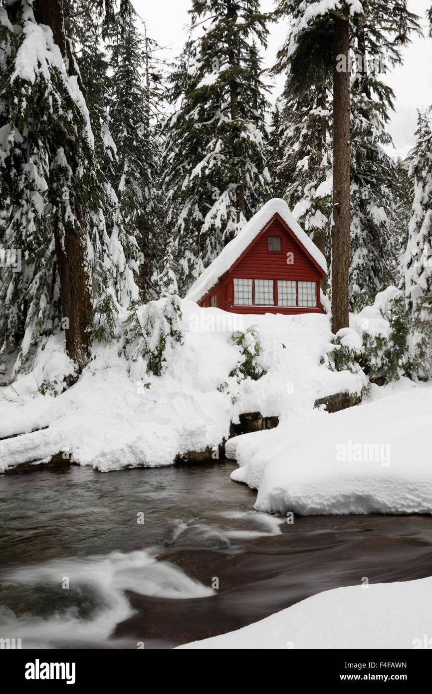 Usa Washington Mount Baker Snoqualmie National Forest Mountain