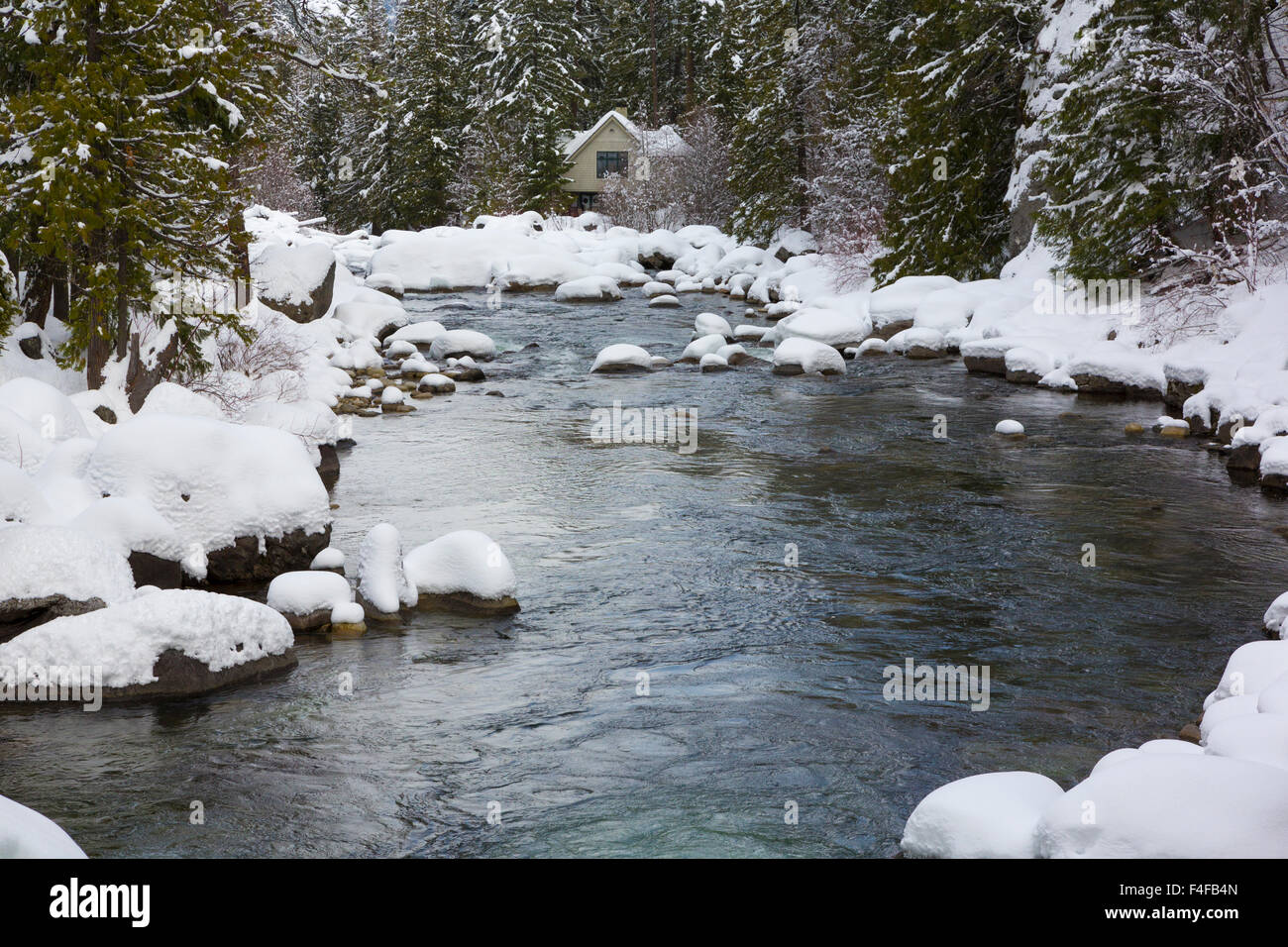 Usa Washington Wenatchee National Forest Cascade Mountains