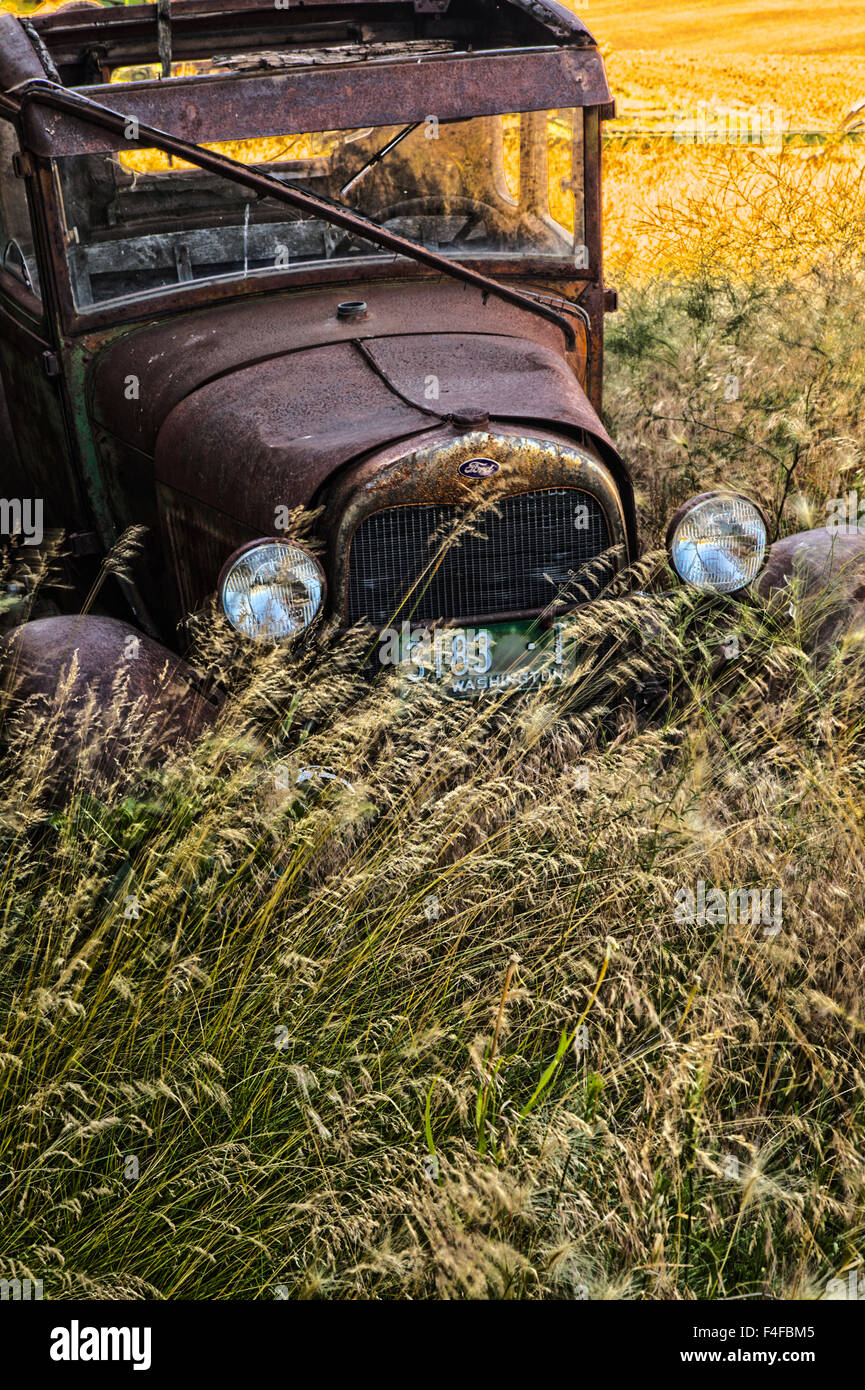 USA, Washington State. Abandoned old car in tall grass Stock Photo Alamy
