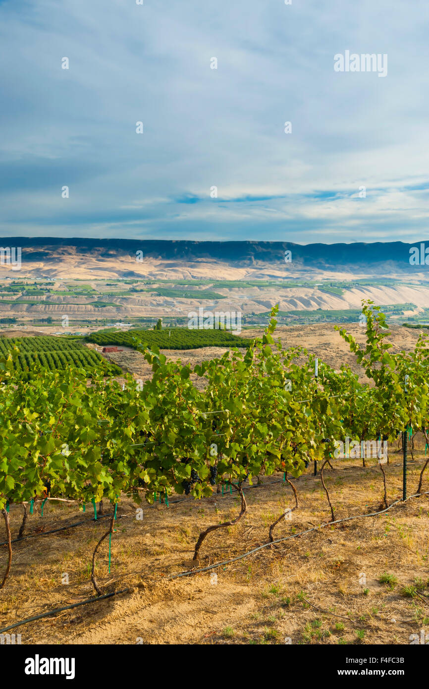 East wenatchee washington hires stock photography and images Alamy