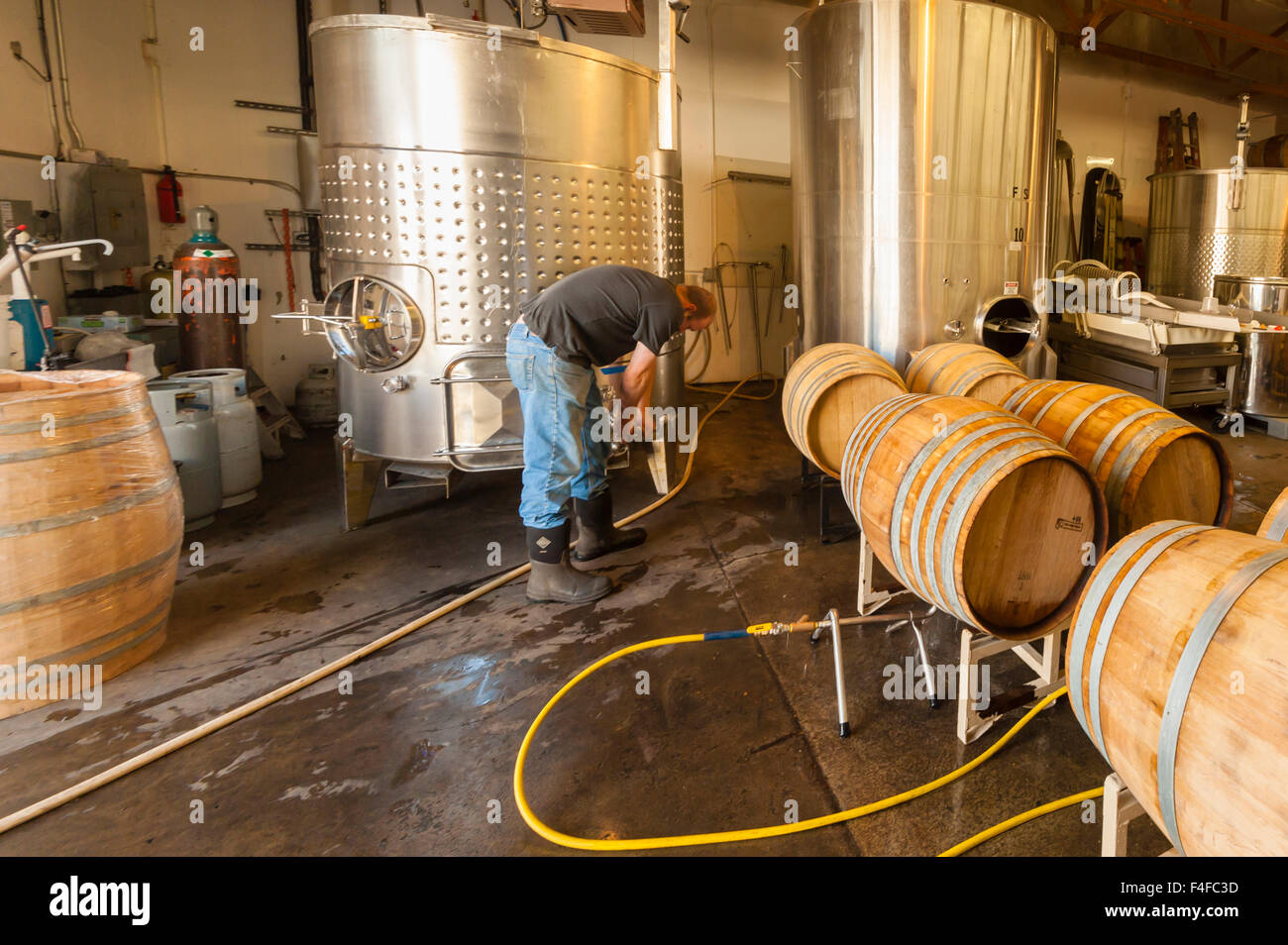 USA, Washington, Woodinville. Winemaker at work during crush Stock