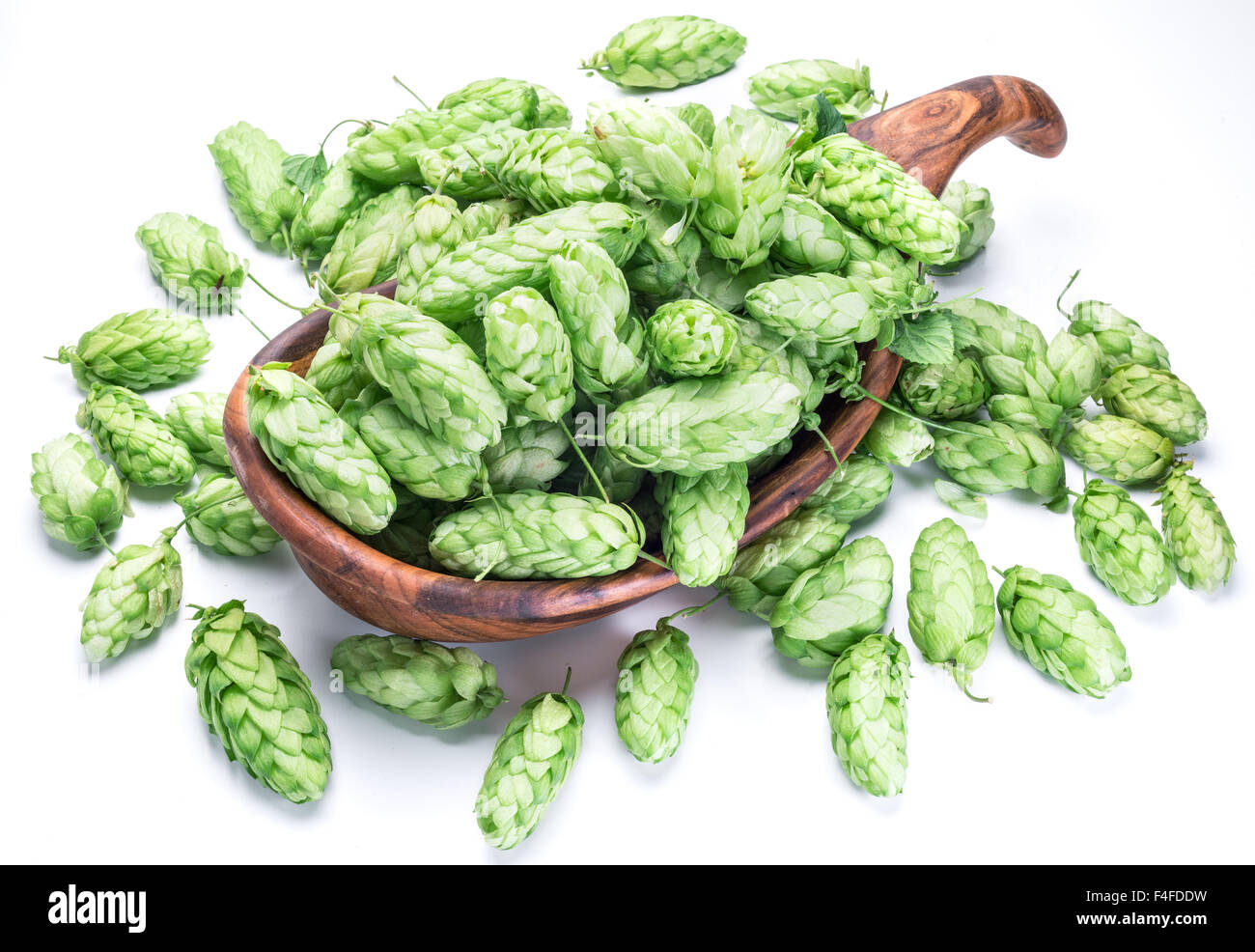 Hop cones in the wooden bowl. Isolated on the white background. Stock Photo