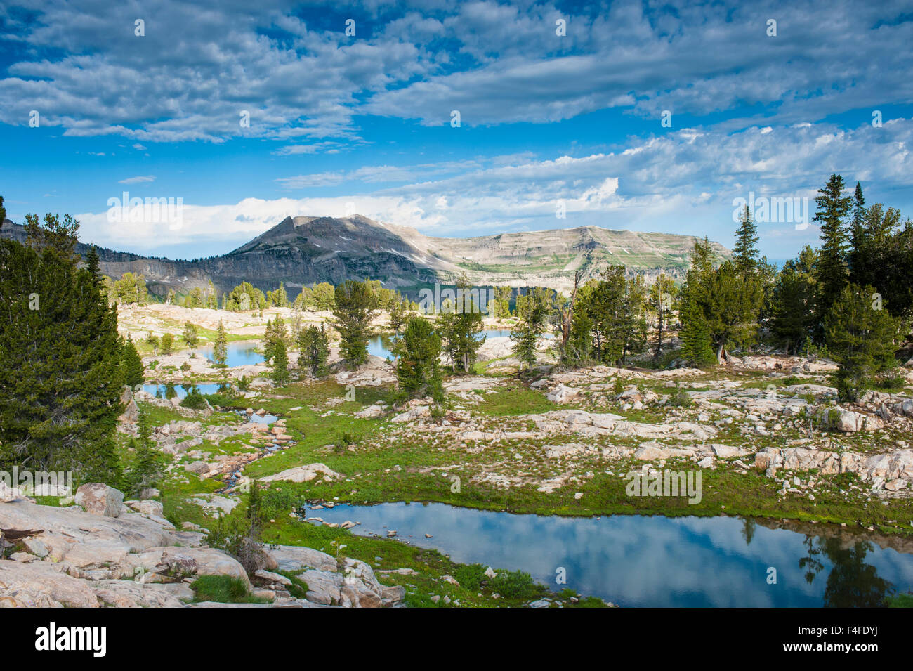 Alaska Basin Lakes, Caribou, Targhee National Forest, Wyoming Stock