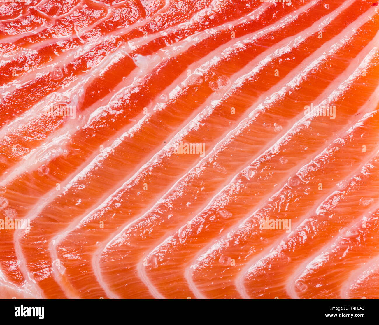Structure of fresh salmon. Macro shot Stock Photo Alamy