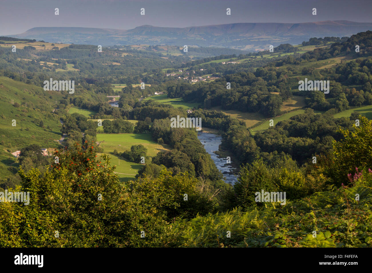 Upper Wye Valley near Builth Wells looking south to Black Mountains range Brecon Beacons Powys Mid Wales UK Stock Photo