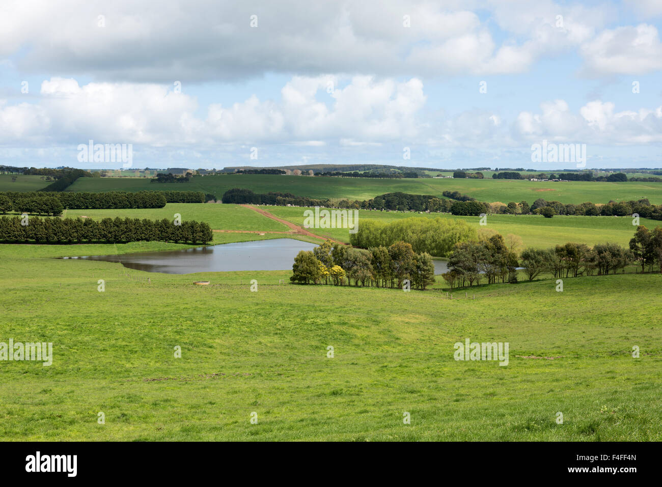 Lush pasture hi-res stock photography and images - Alamy