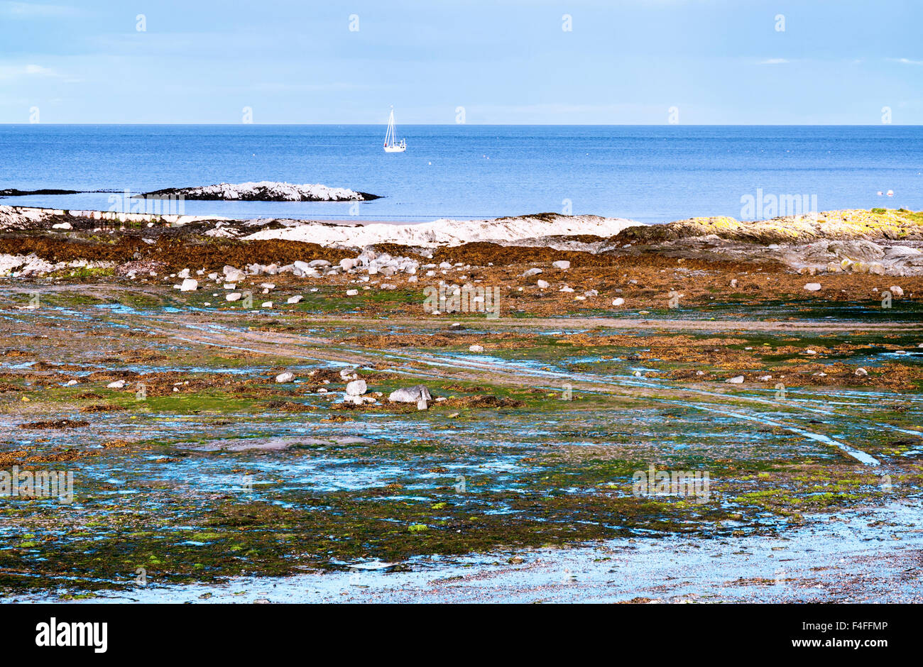 Colourful ground during low tide at the shore of Ards peninsula in Northern Ireland in sunset light Stock Photo
