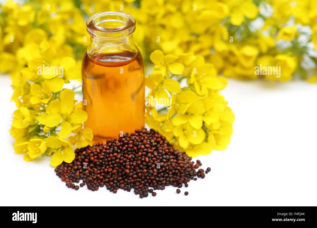 Mustard seed with oil and flower over white background Stock Photo - Alamy