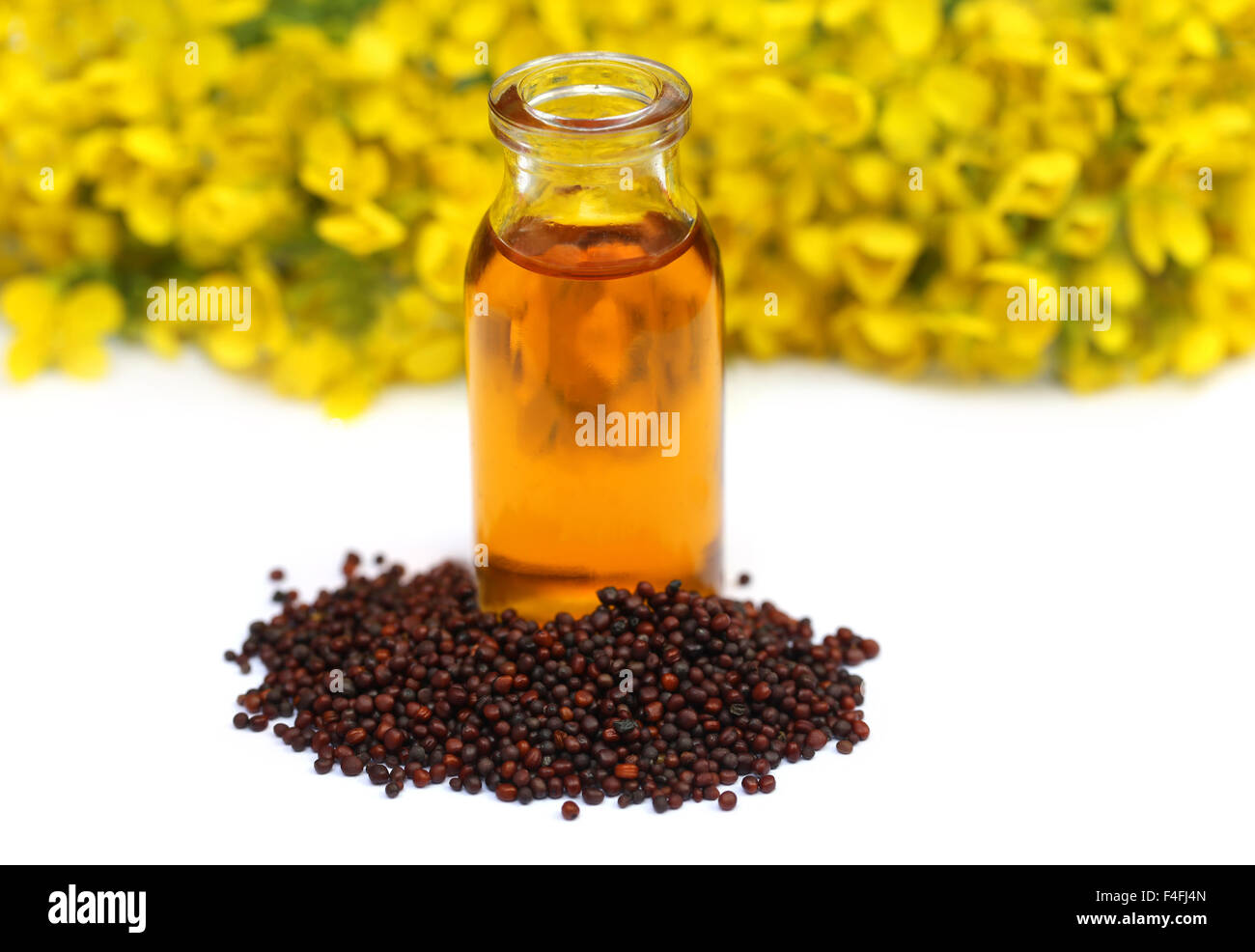 Mustard seed with oil and flower over white background Stock Photo