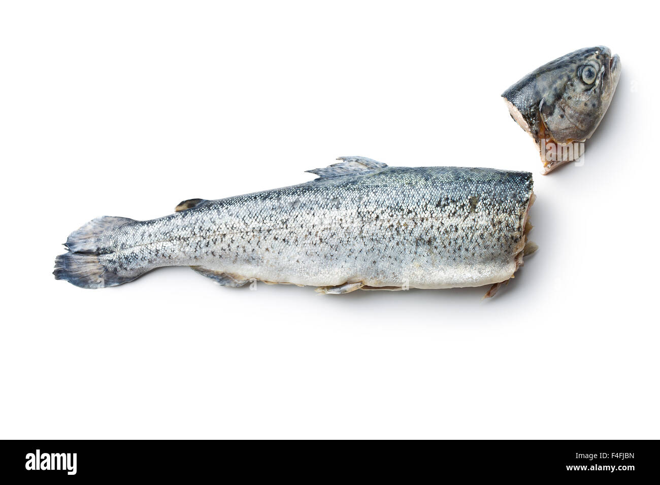 the gutted trout on white background Stock Photo