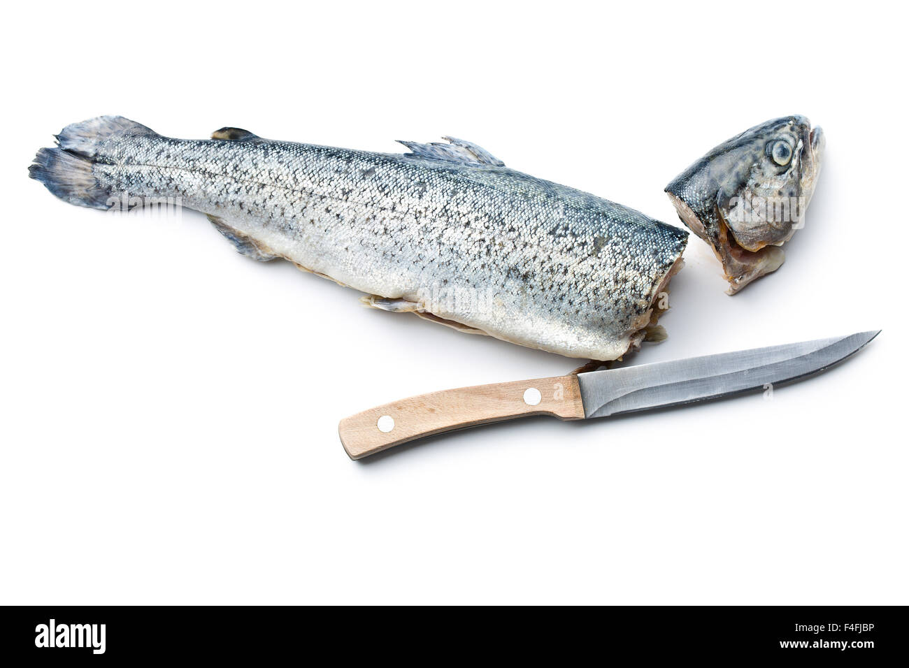 the gutted trout with knife on white background Stock Photo