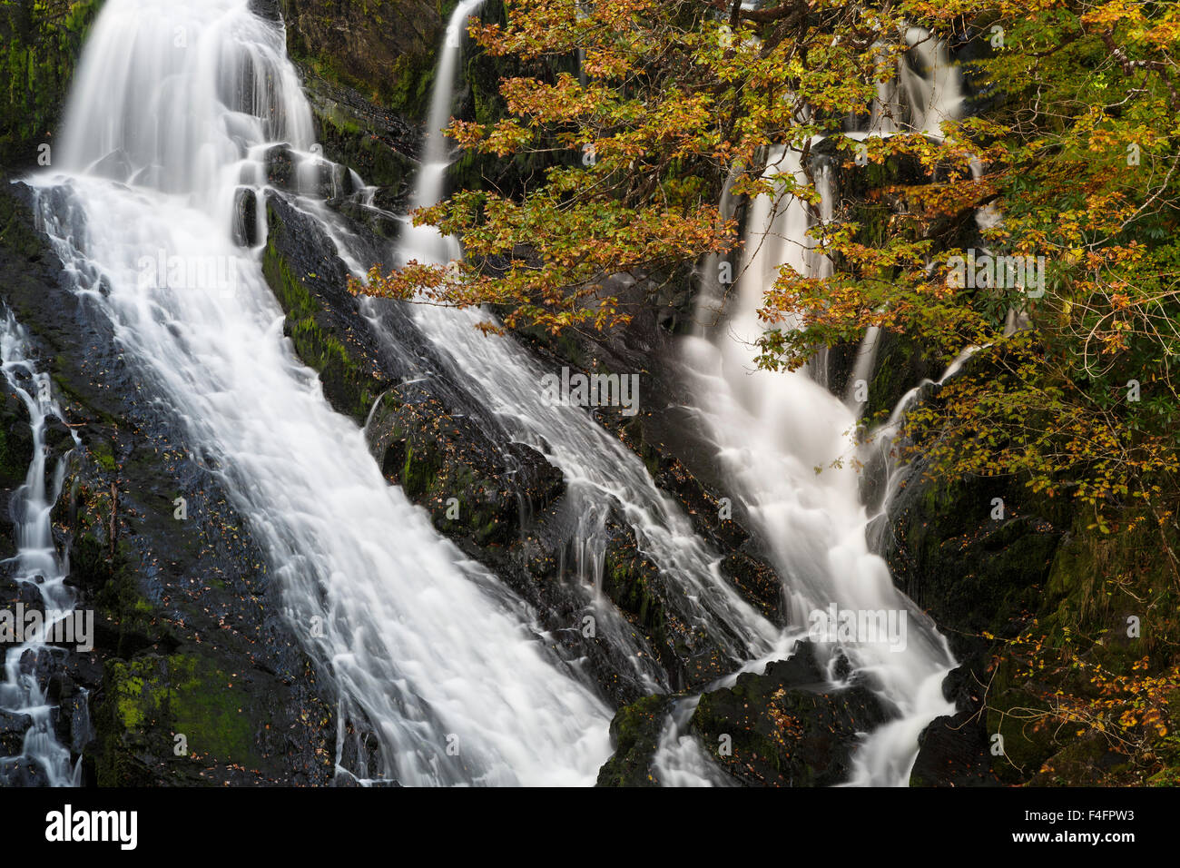 Swallow Falls, River Llugwy Betws-Y-Coed, Snowdonia National Park, Gwynedd, North Wales, in autumn Stock Photo