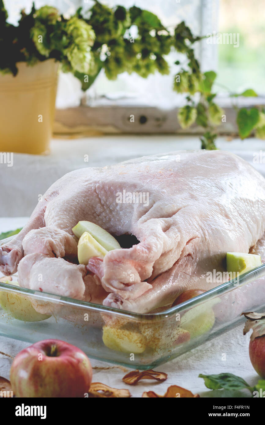 Raw stuffed goose prepare for cooking in glass baking dish with ripe apples over table with white tablecloth. With rustic window Stock Photo