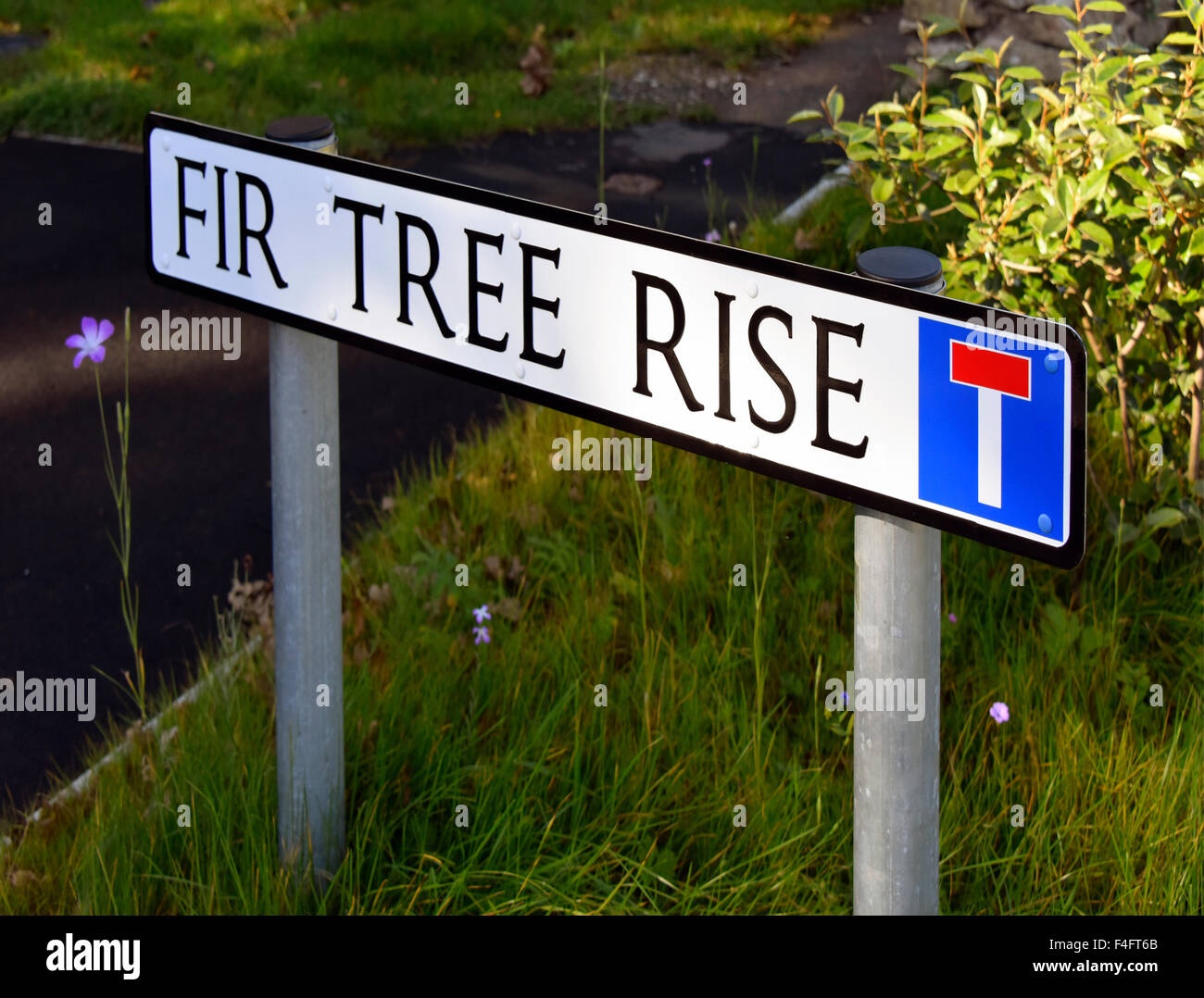 Street nameplate. Fir Tree Rise, Kendal, Cumbria, England, United KIngdom, Europe. Stock Photo