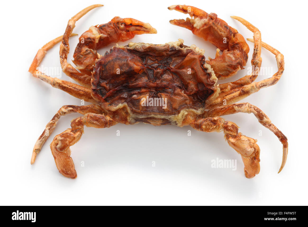 Soft Shell Crab City Island Soft Shell Crab City Island