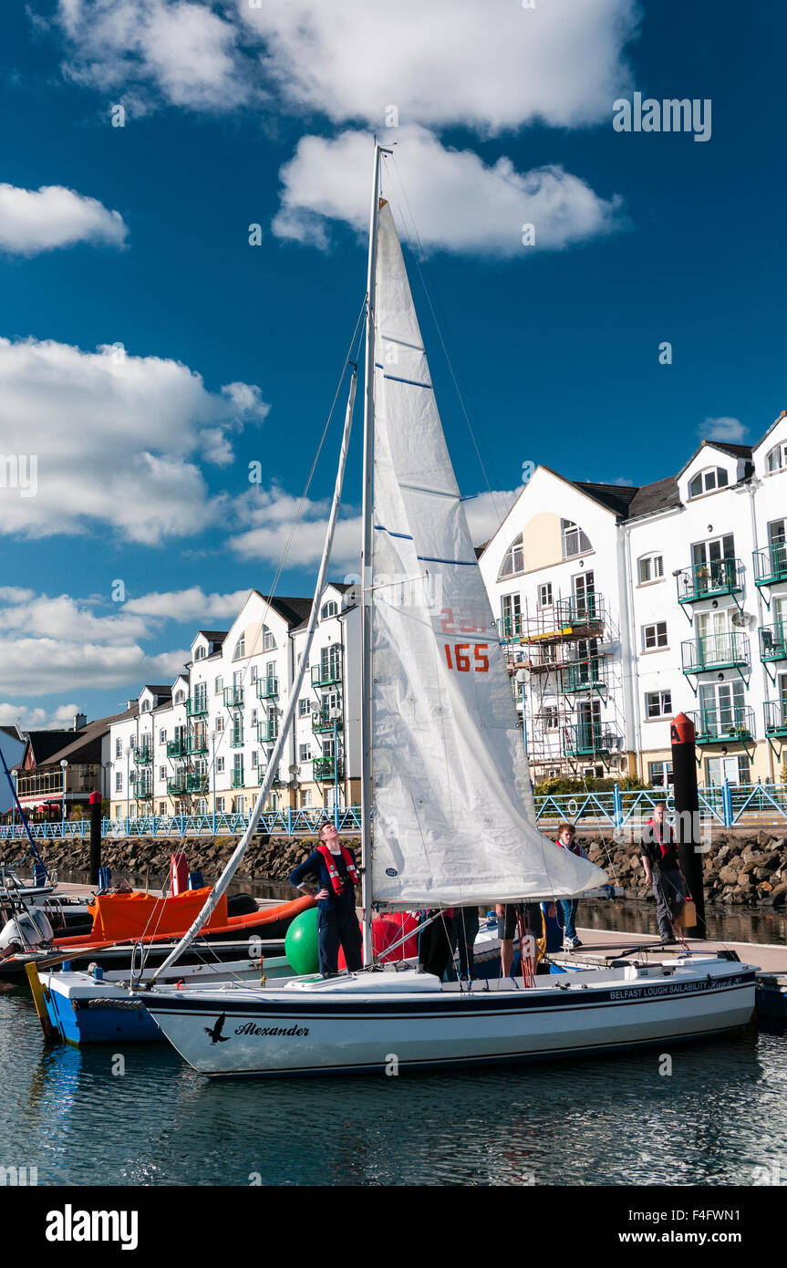 Sailors prepare a yacht at Carrickfergus Marina Stock Photo Alamy