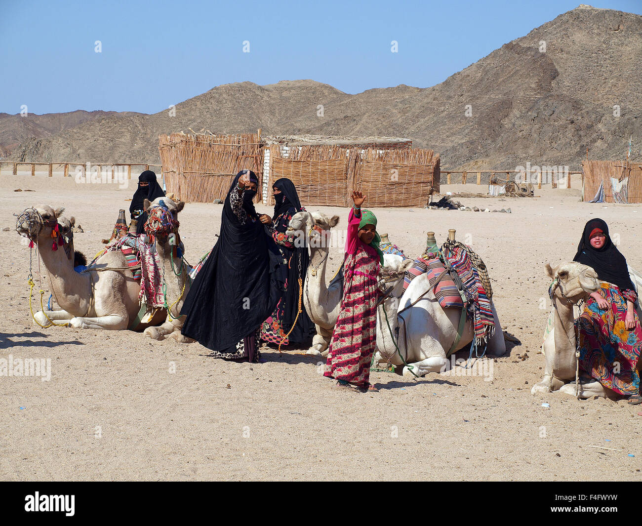 Bedouin village Stock Photo Alamy