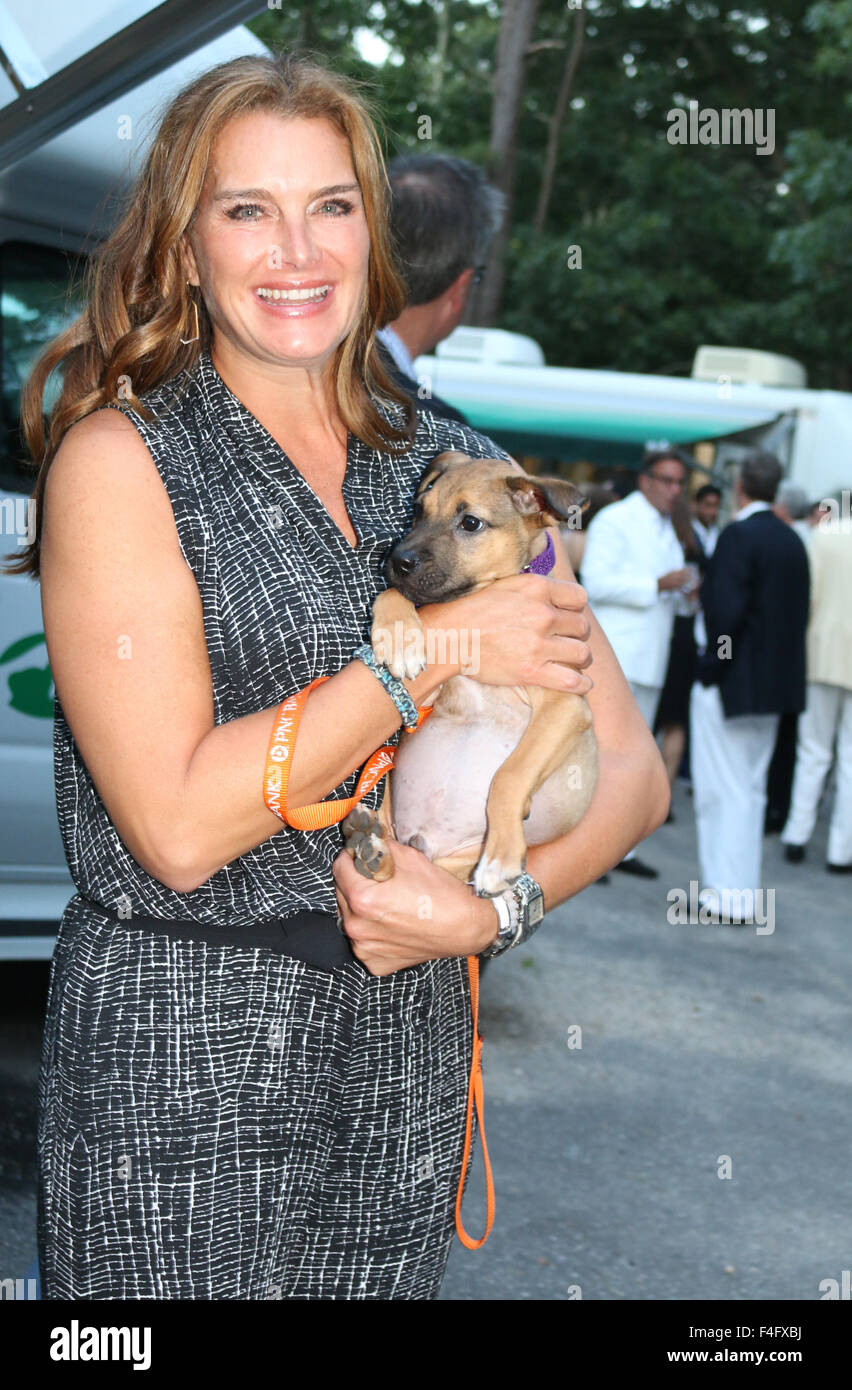 2015 Bow Wow Meow Ball held at ARF Featuring Brooke Shields Where