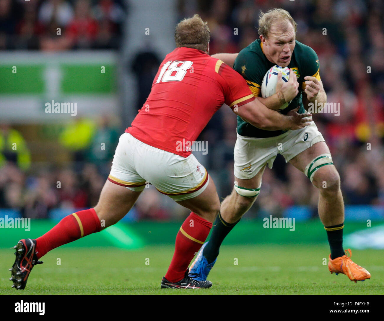 Schalk burger rugby world cup hi-res stock photography and images - Alamy