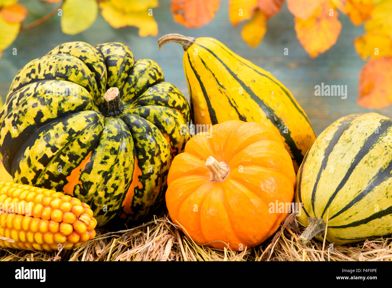 autumn decoration with pumpkin and leaves Stock Photo - Alamy