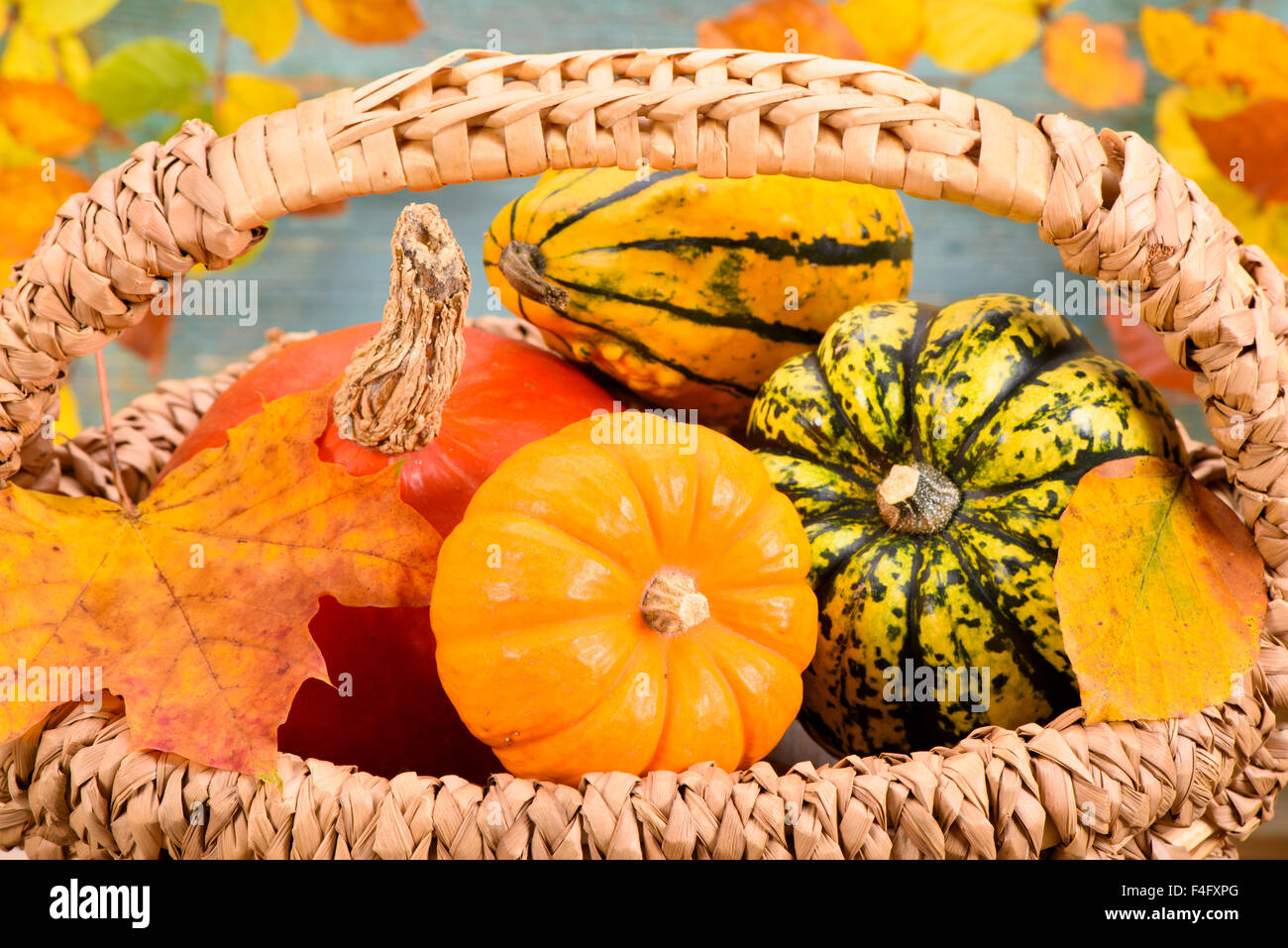 autumn decoration with pumpkin and leaves Stock Photo - Alamy