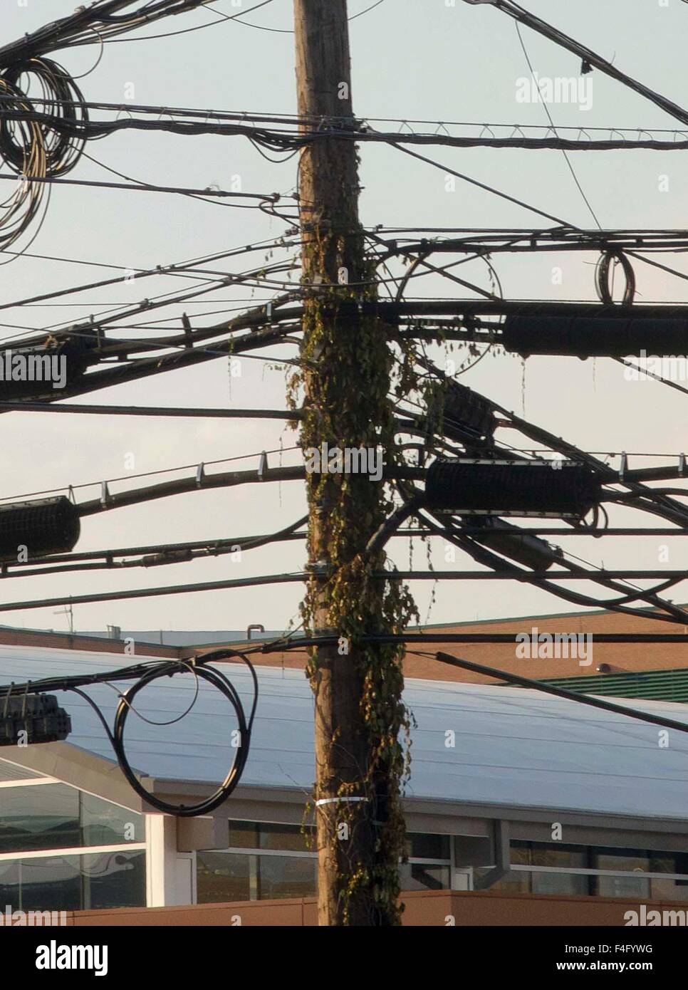 Telephone pole data lines hi-res stock photography and images - Alamy