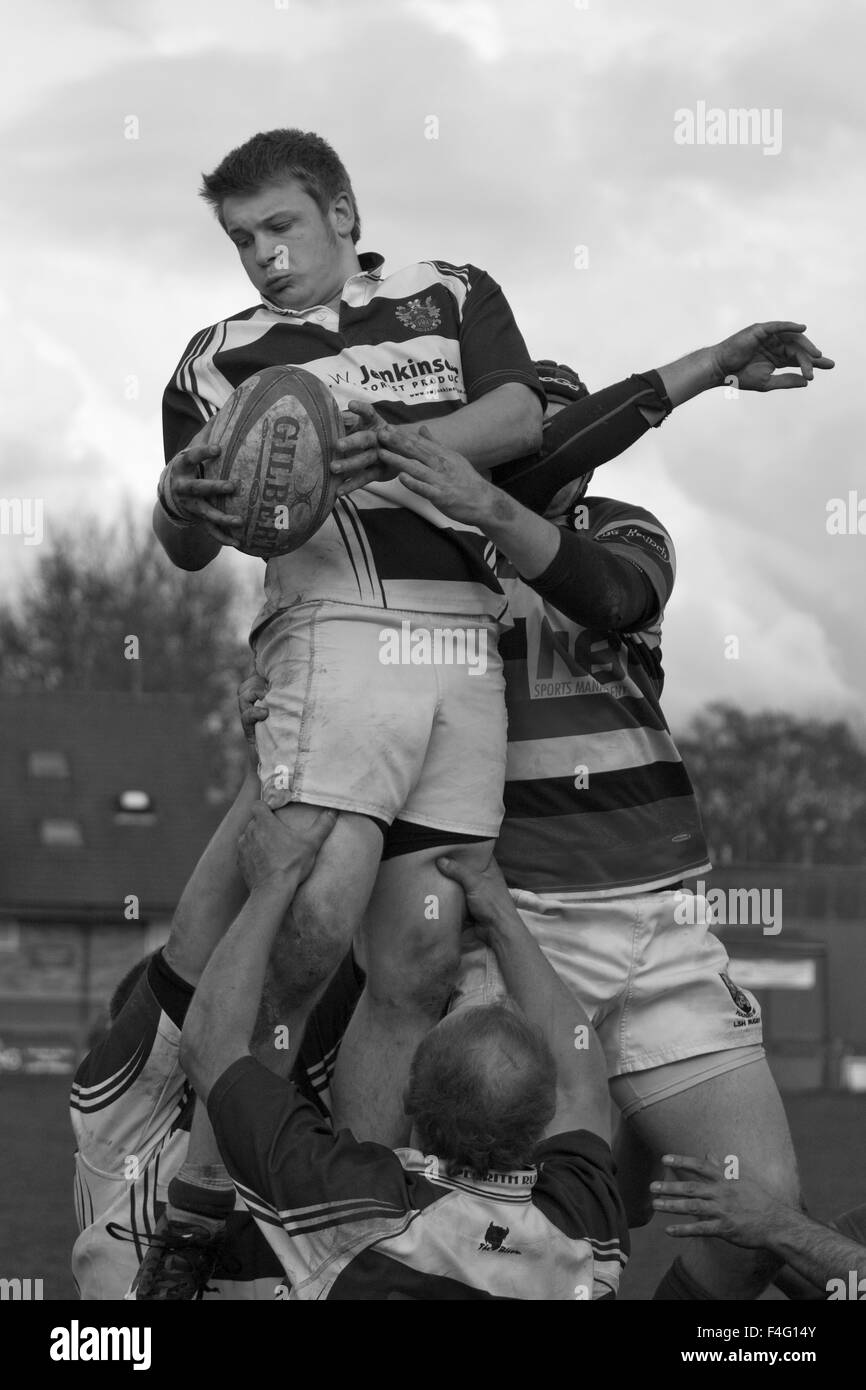 Rugby union players contest the ball in a match between Penrith and Liverpool St Helens at Winters Park, Penrith in England. Stock Photo