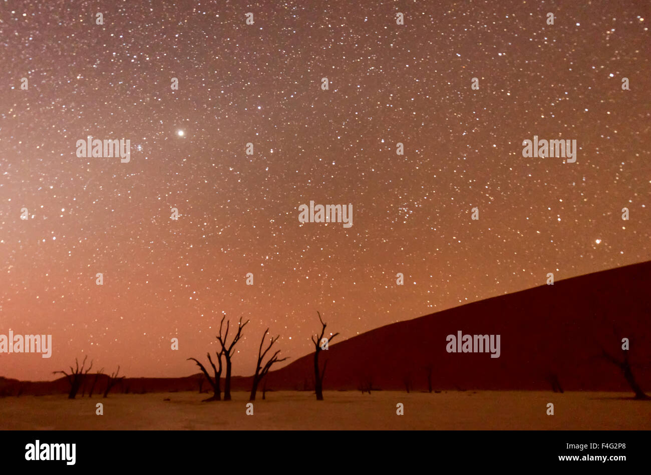 Deadvlei stars hi-res stock photography and images - Alamy
