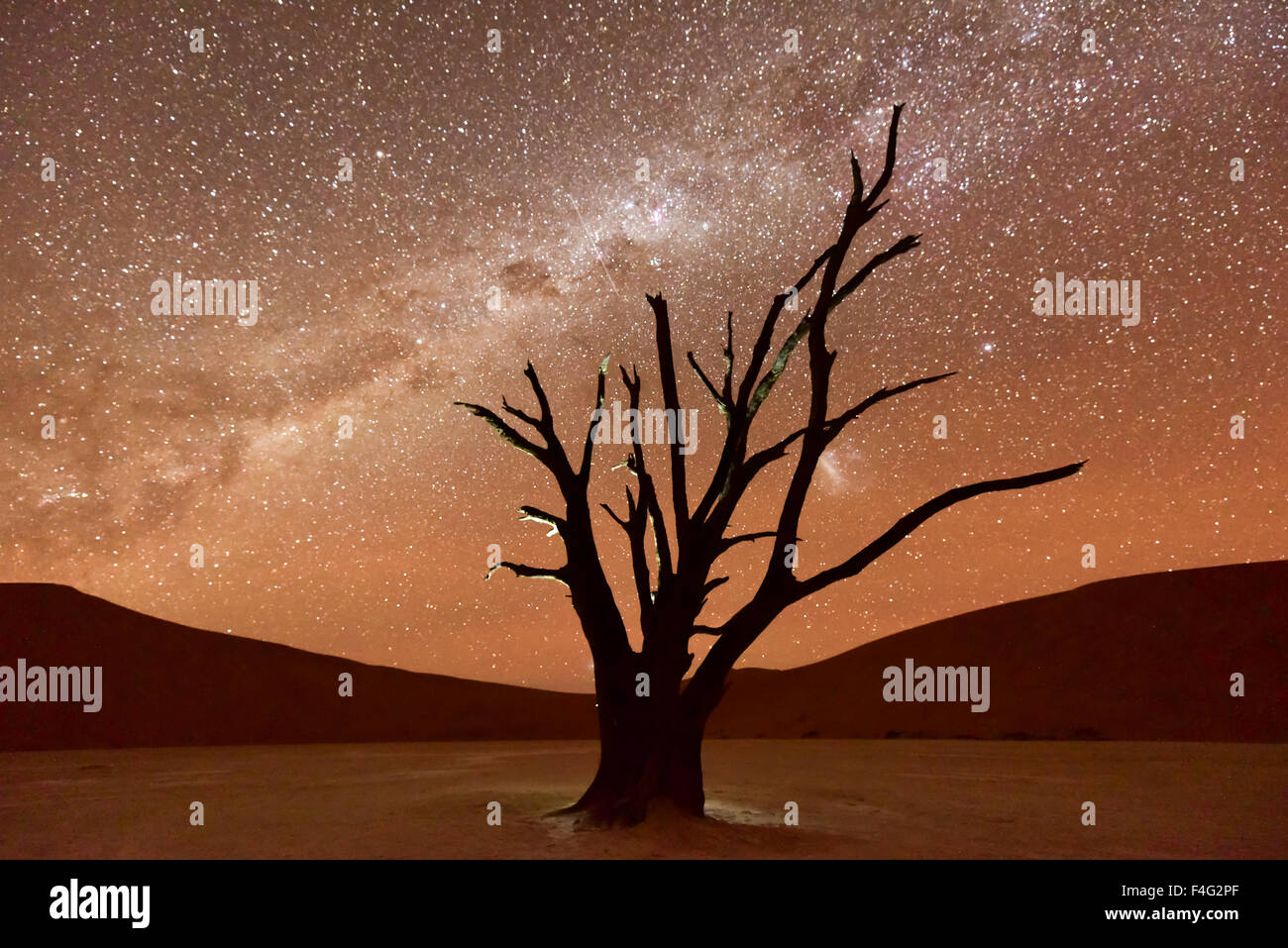 Deadvlei stars hi-res stock photography and images - Alamy