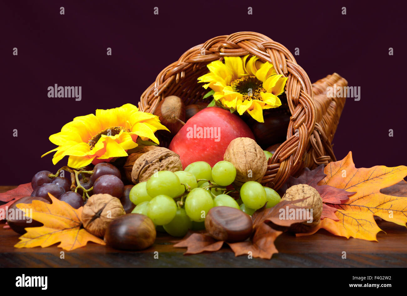 Thanksgiving cornucopia, wicker horn of plenty, centerpiece with fruit, nuts, leaves and sunflowers on dark wood table. Stock Photo