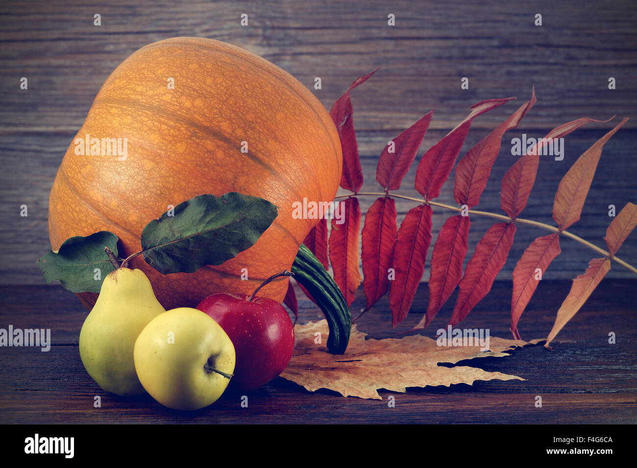 Nature background made of autumn fruit on wooden table Stock Photo