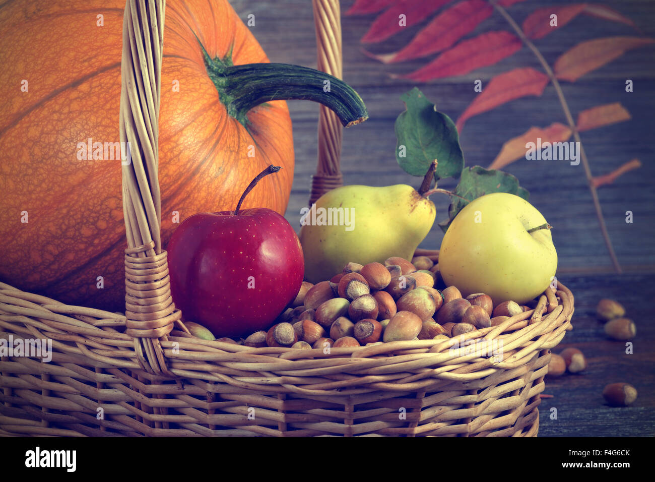 Nature background made of autumn fruit on wooden table Stock Photo
