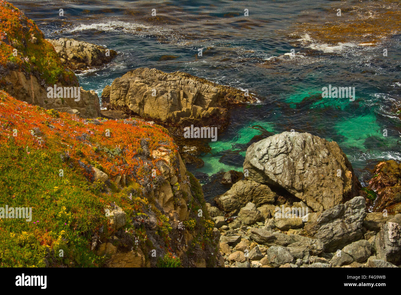 Rocky shore, Garrapata State Park, California, USA Stock Photo - Alamy