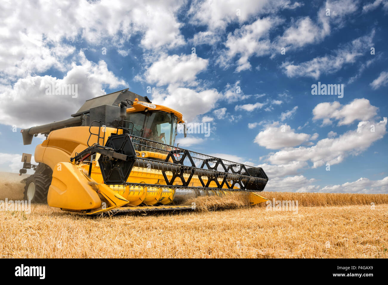 close view of modern combine harvester in action. Stock Photo
