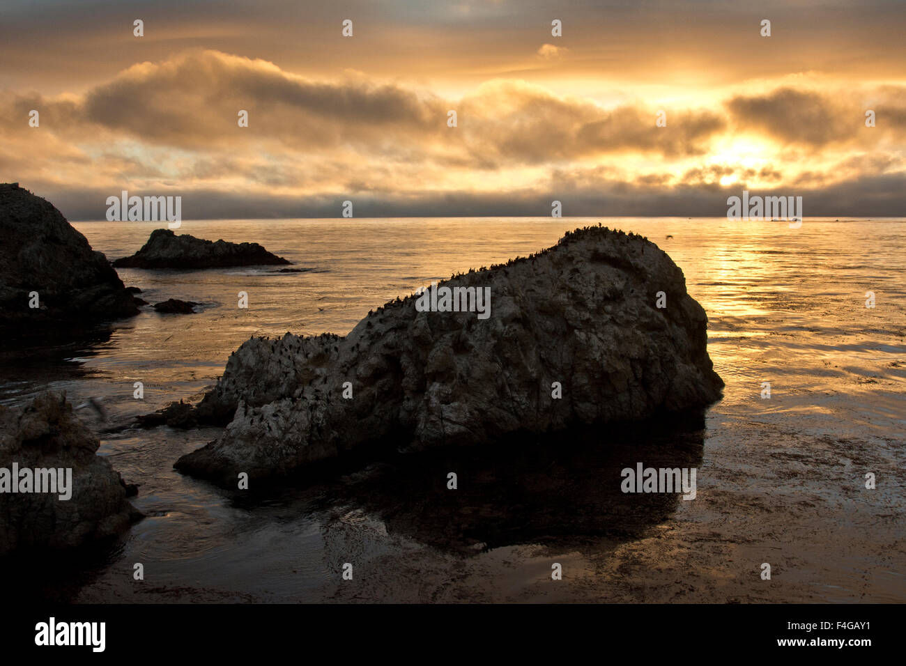 Sunset, Bird Island, Point Lobos State Reserve, Carmel, California, USA