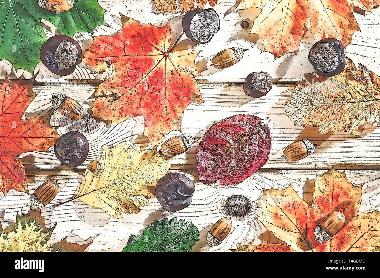 Autumn background. Natural colorful background with fall leaves, acorns an chestnuts on a wooden background. Stock Photo