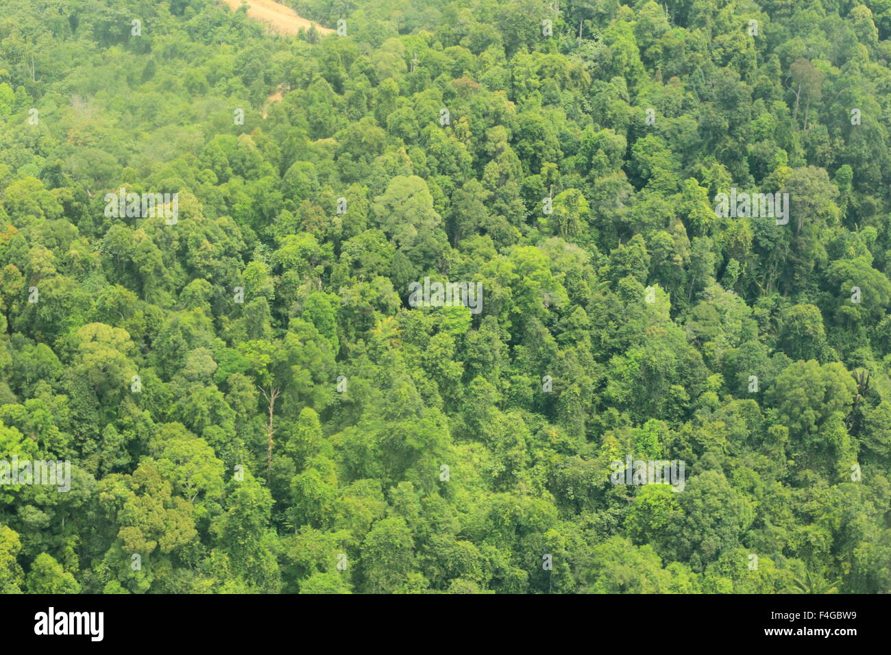 mountain of Borneo (Aerial Shoot) Stock Photo
