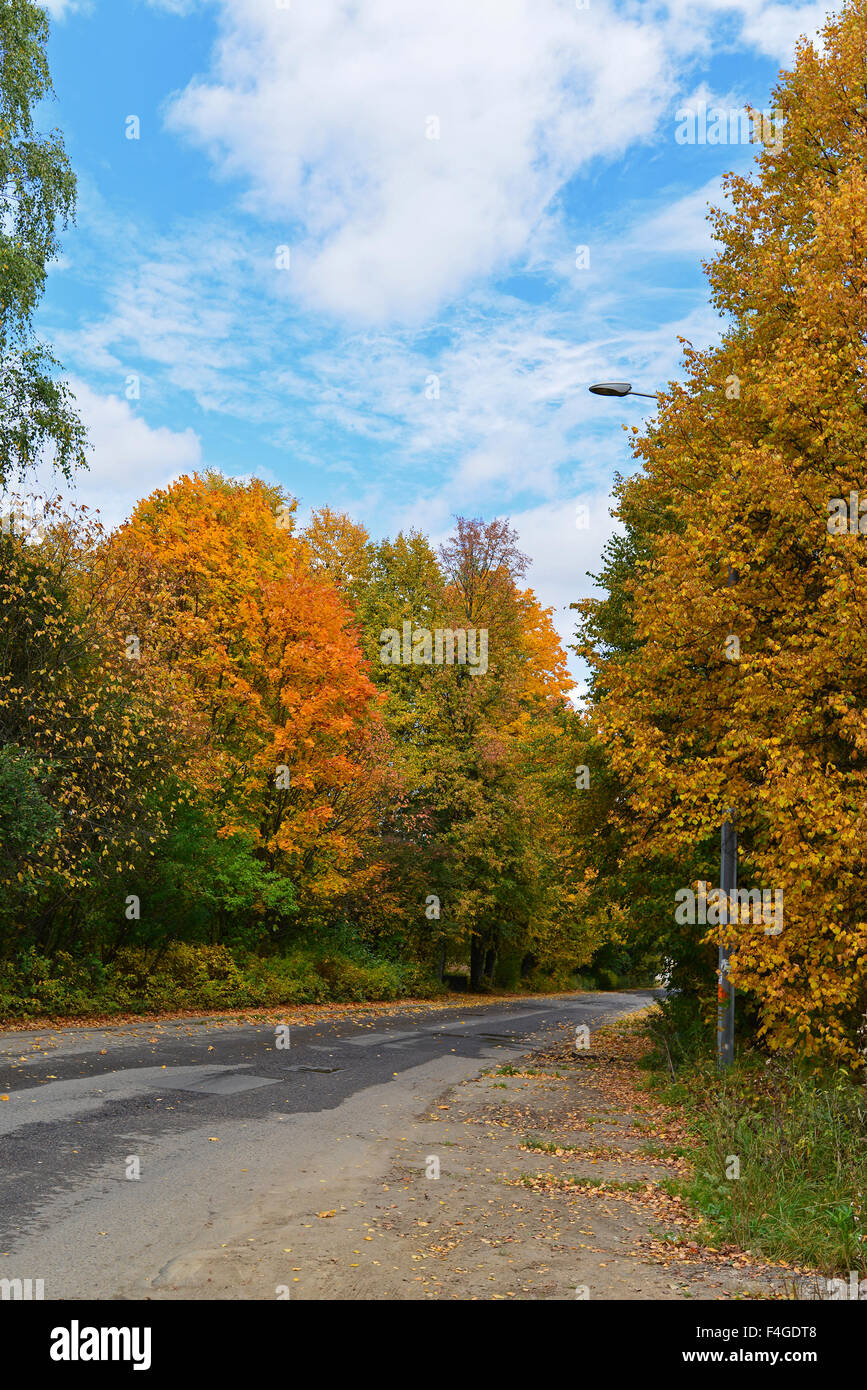 In early autumn park on  sunny day Stock Photo