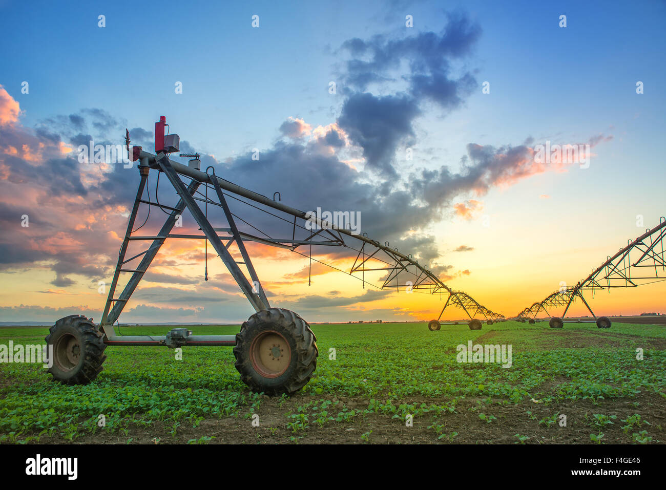 Automated farming irrigation sprinklers system on cultivated agricultural landscape field in sunset Stock Photo